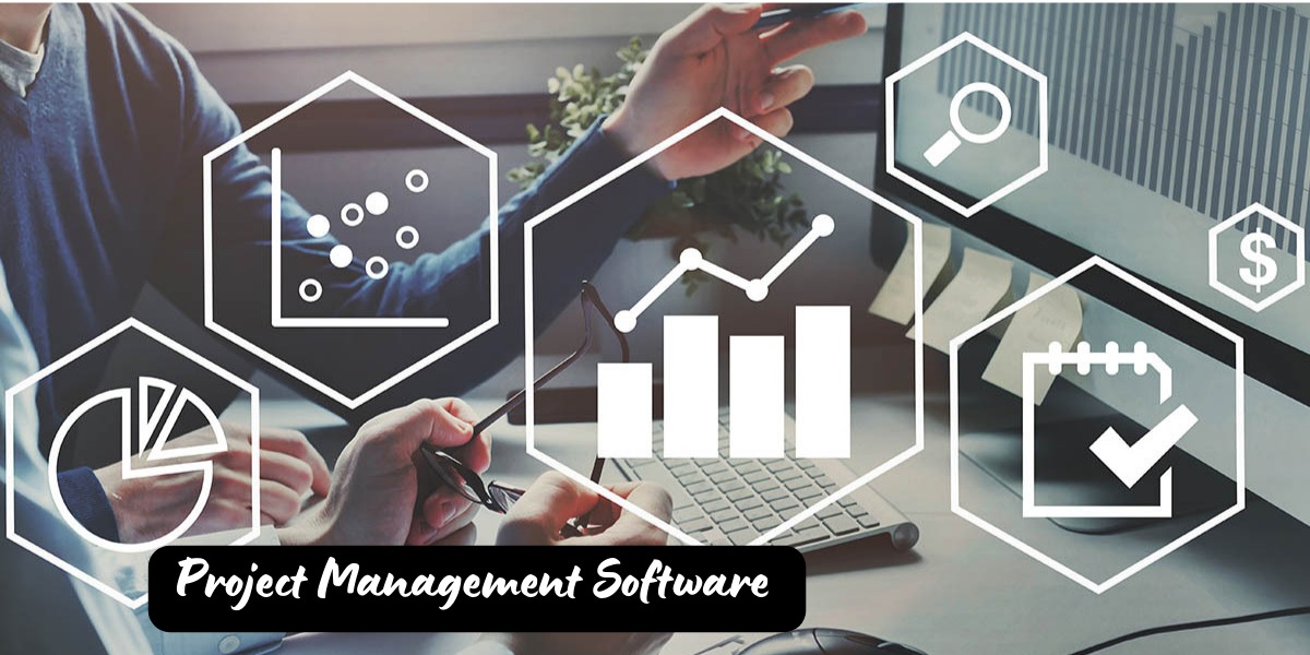 What Is Project Management Software Used For